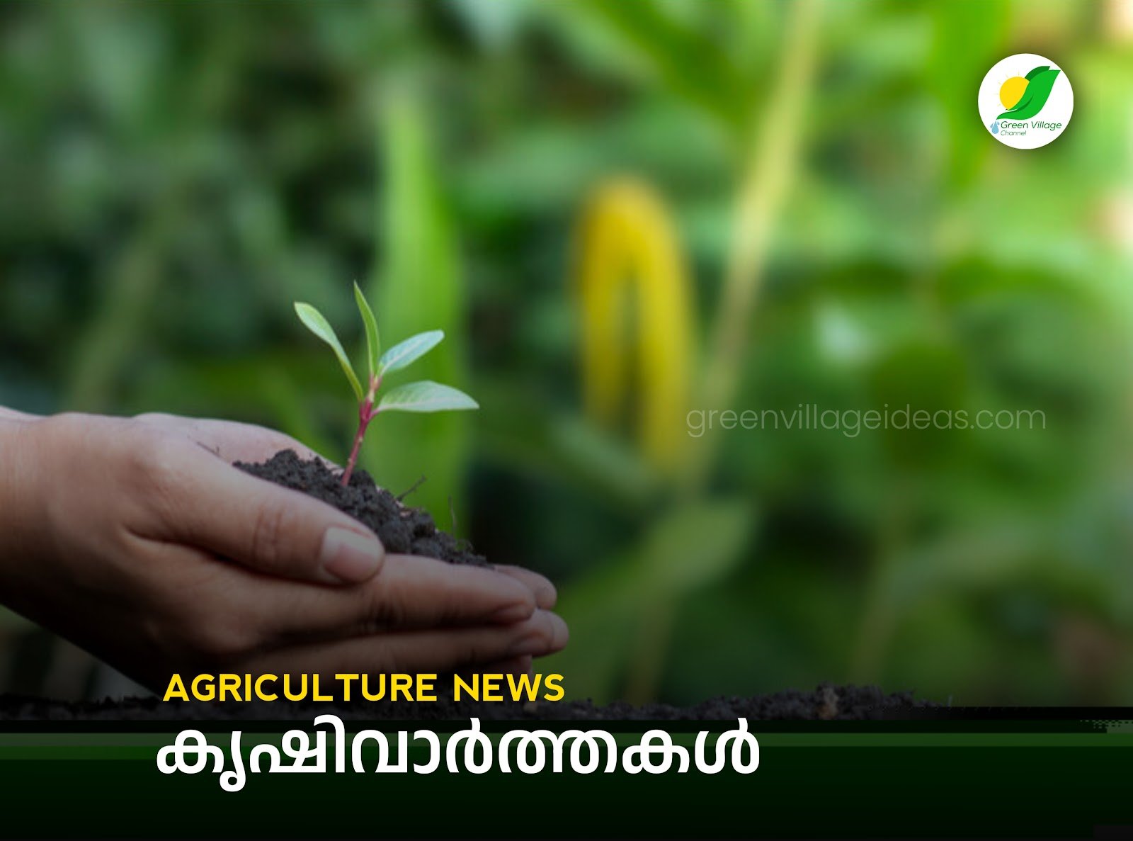 Agriculture20News