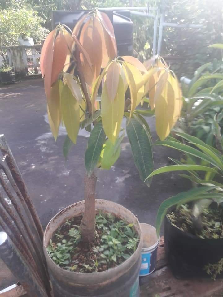 FB IMG 1644290446866