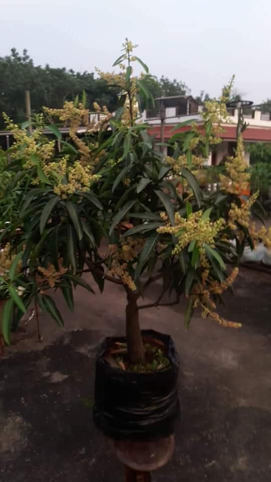 FB IMG 1644290449369