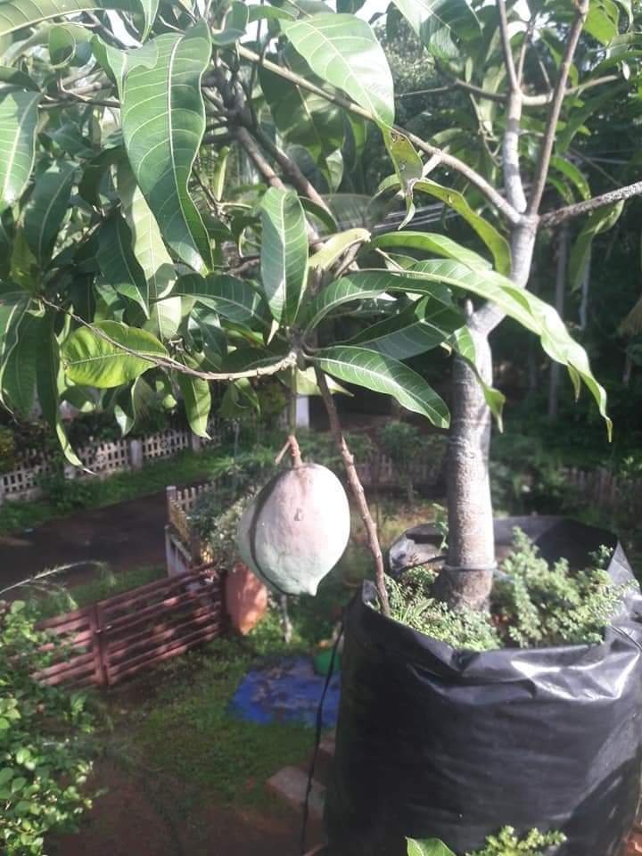 FB IMG 1644290451713