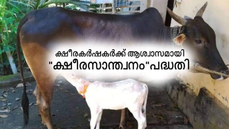 FB IMG 1703521587500