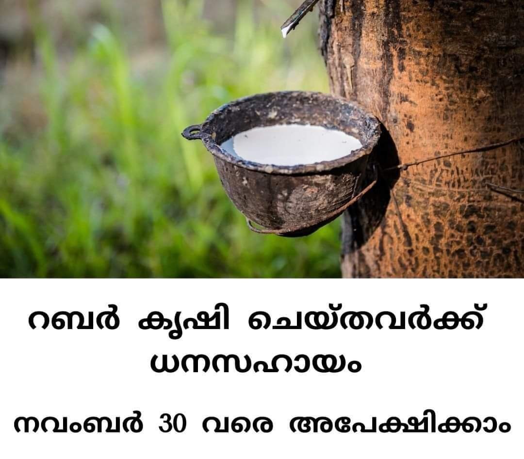 FB IMG 1729396117622