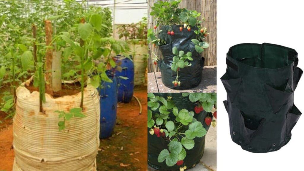 Family20Vegetable20Bag 1024x576