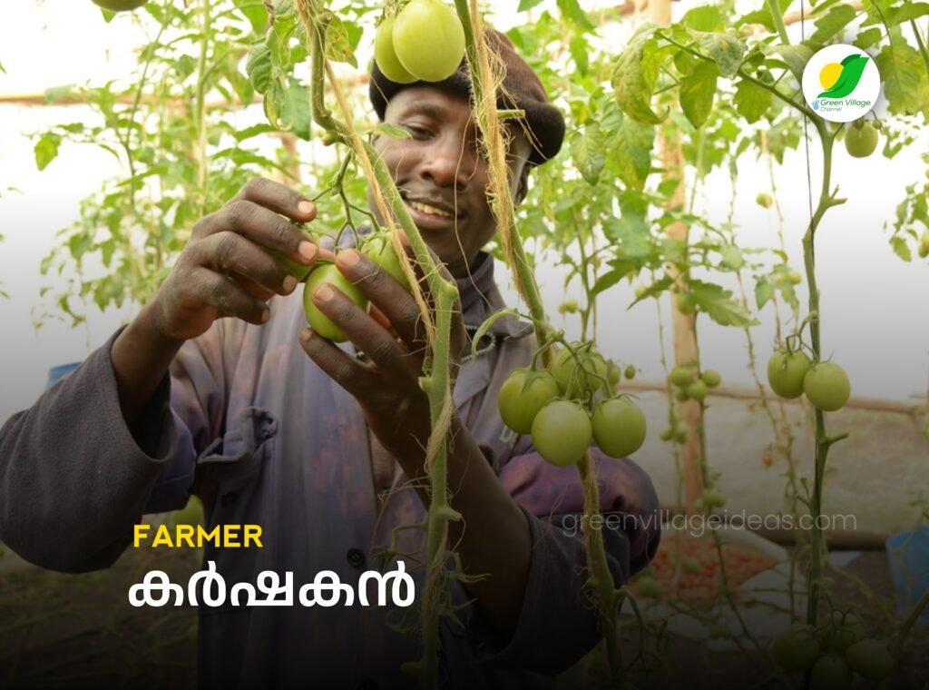 Farmer 1024x760