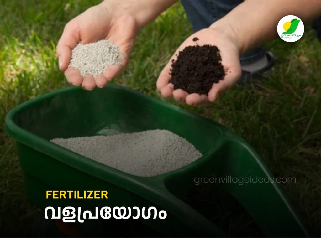 Fertilizers 1024x760