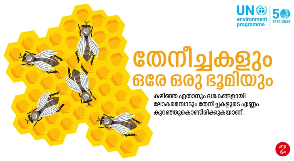 HONEY BEE 1 1024x563