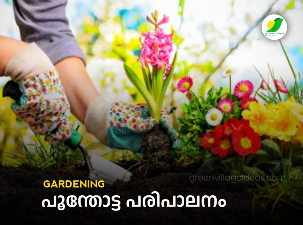 Home20Gardening 1024x760