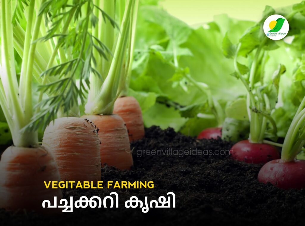 Horticulture2020Vegetables 1024x760