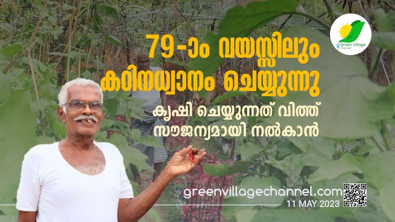 IMG 20230511 WA0221