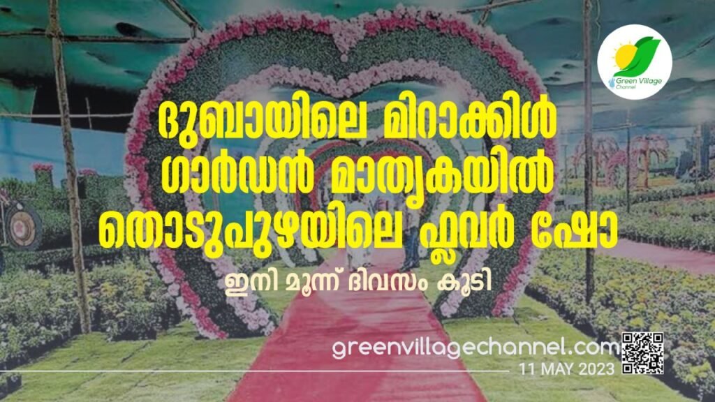 IMG 20230512 WA0091 1024x576