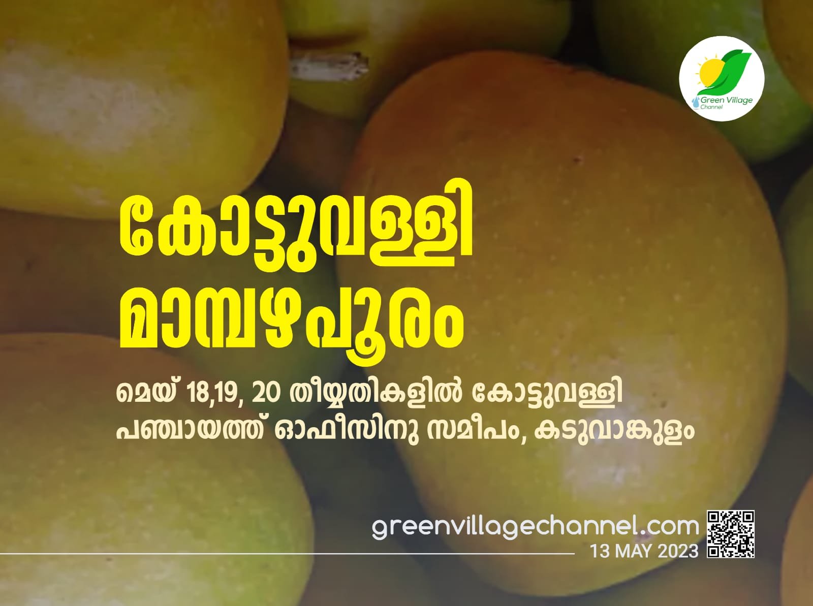 IMG 20230513 WA0015