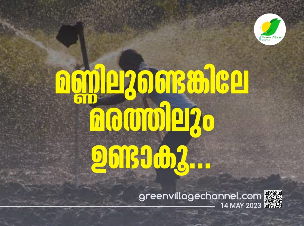 IMG 20230514 WA0010