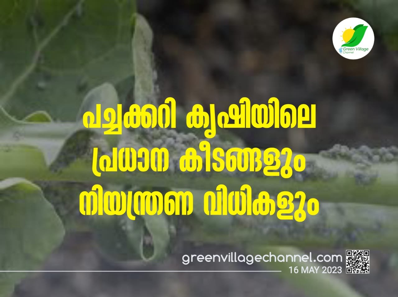 IMG 20230516 WA0027