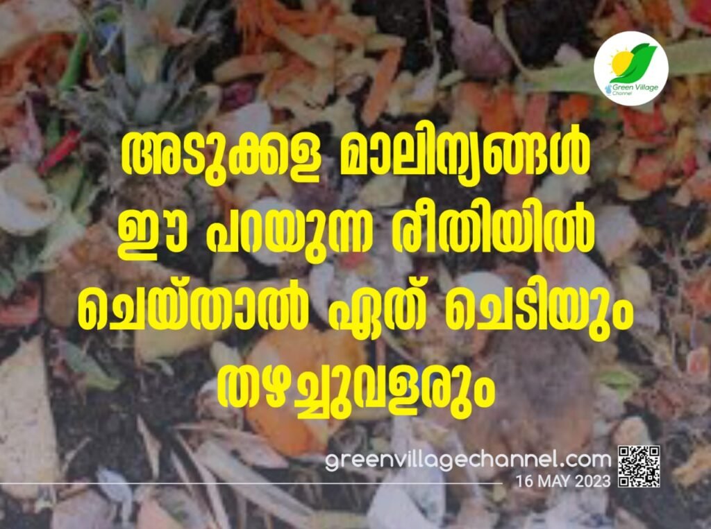 IMG 20230516 WA0029 1024x763