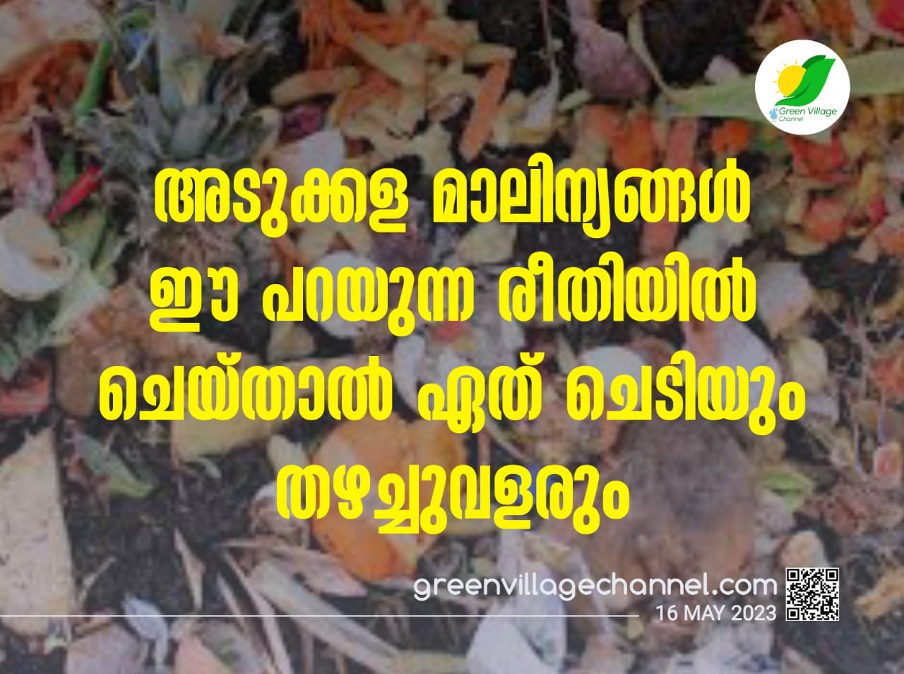 IMG 20230516 WA0029
