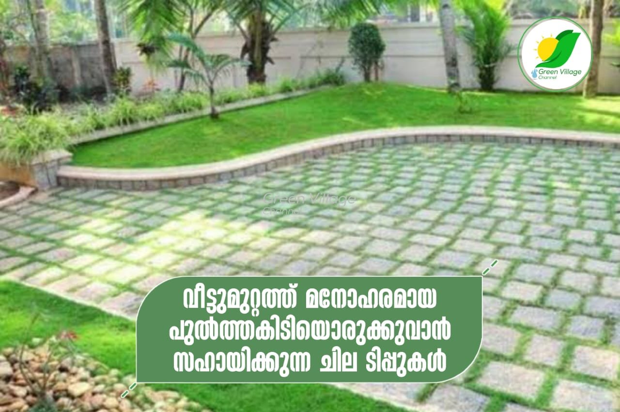 IMG 20230520 WA0323