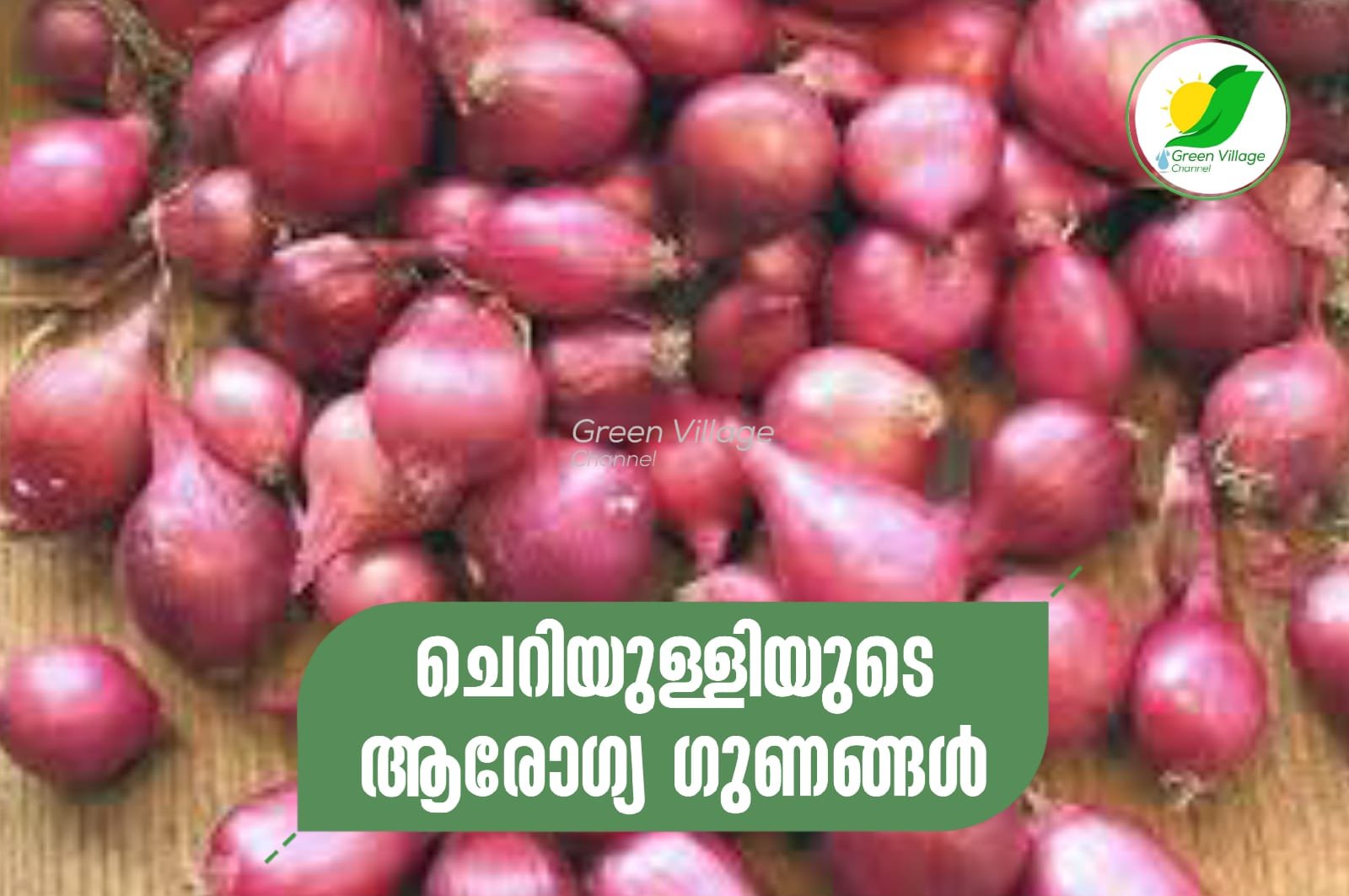 IMG 20230520 WA0586