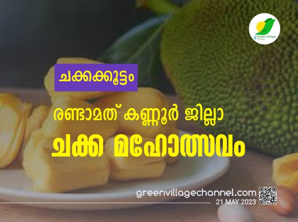 IMG 20230521 WA0059 1024x763