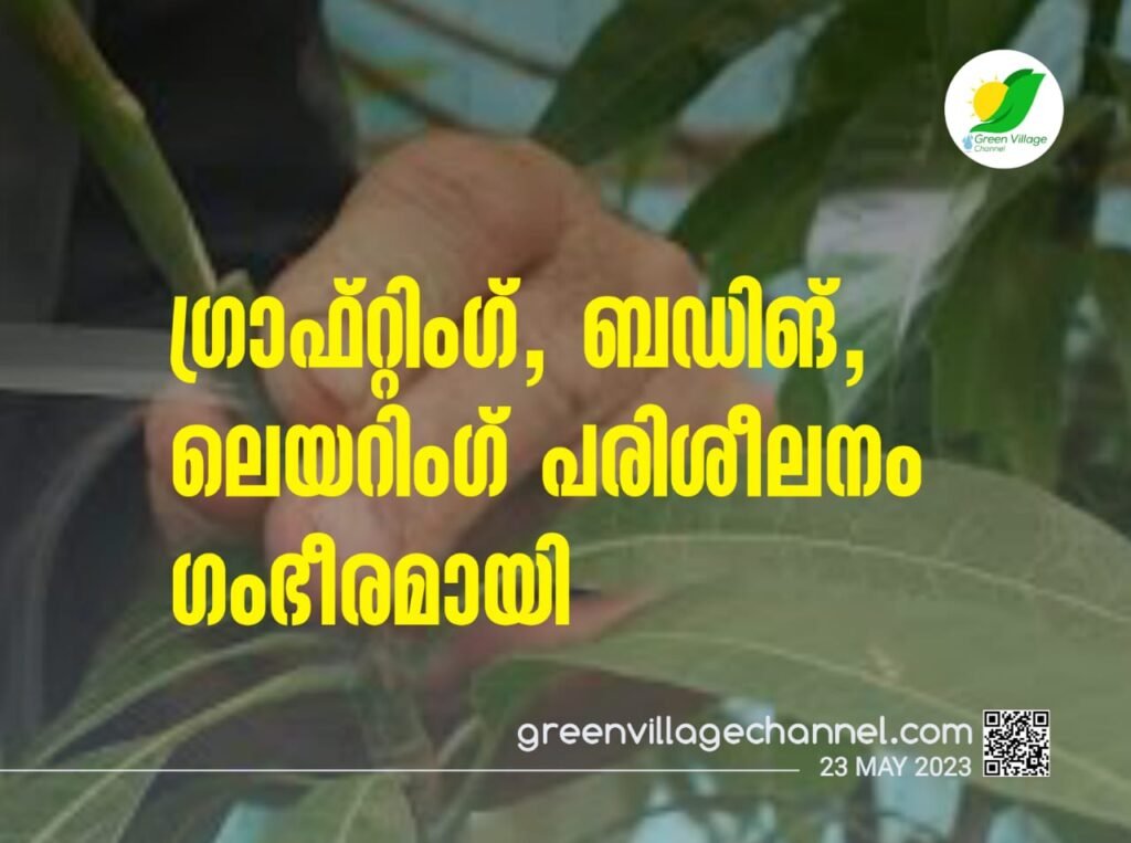 IMG 20230523 WA0296 1024x763