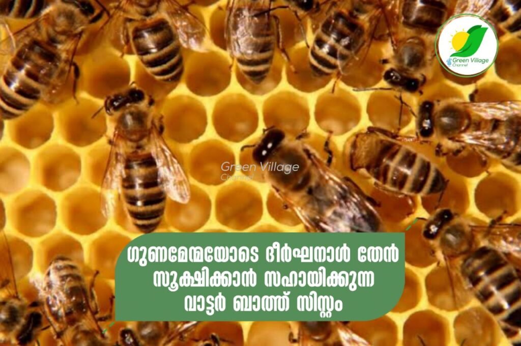 IMG 20230525 WA0096 1024x680