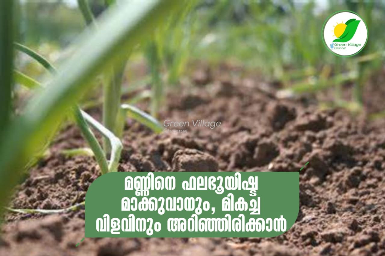 IMG 20230527 WA0001