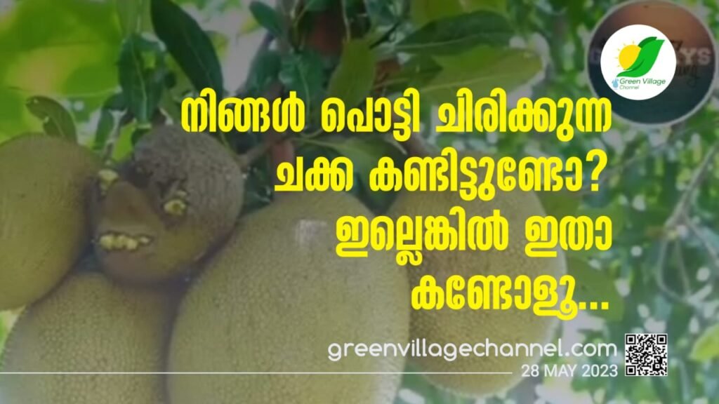 IMG 20230528 WA0007 1024x576