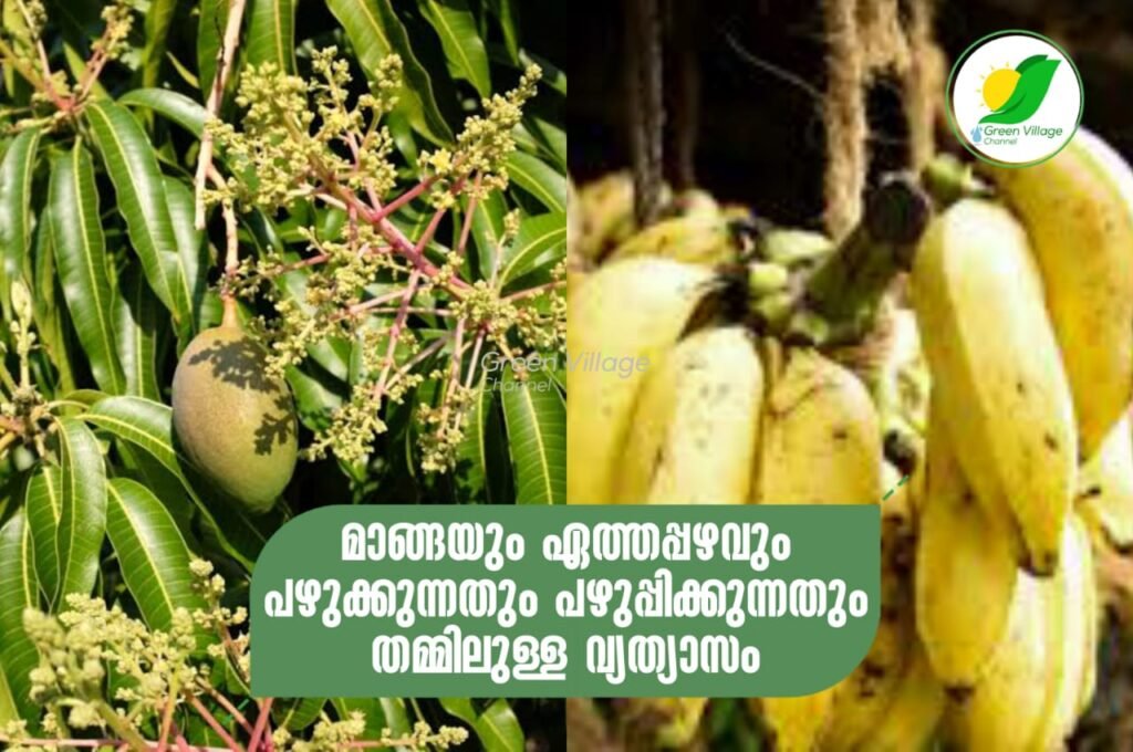 IMG 20230531 WA0354 1024x680