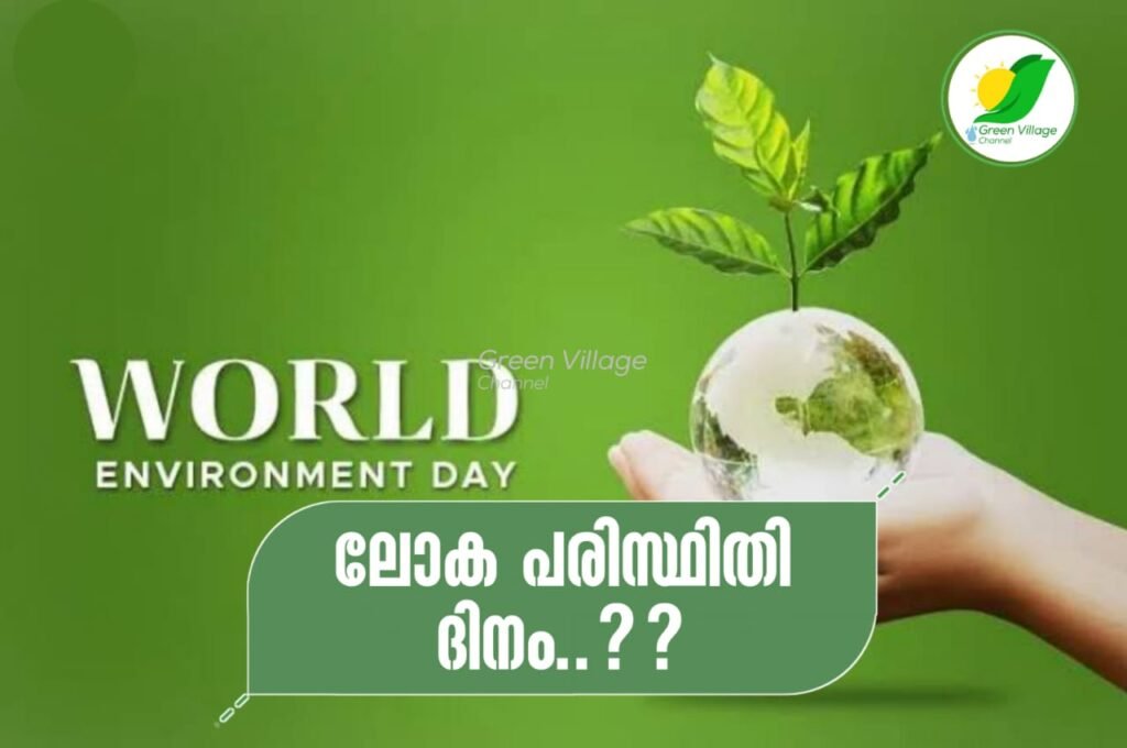 IMG 20230605 WA0197 1024x680