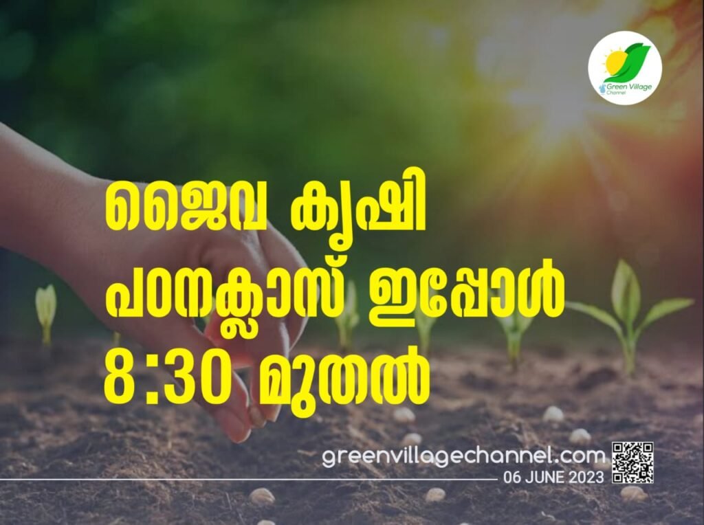 IMG 20230606 WA0114 1024x764