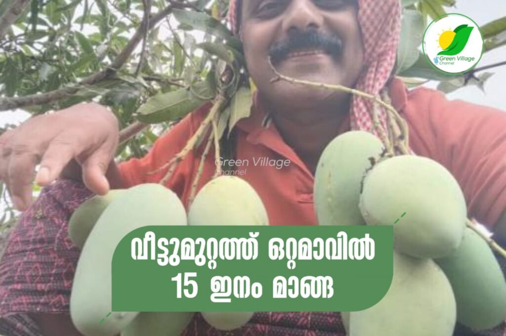 IMG 20230606 WA0161 1024x680