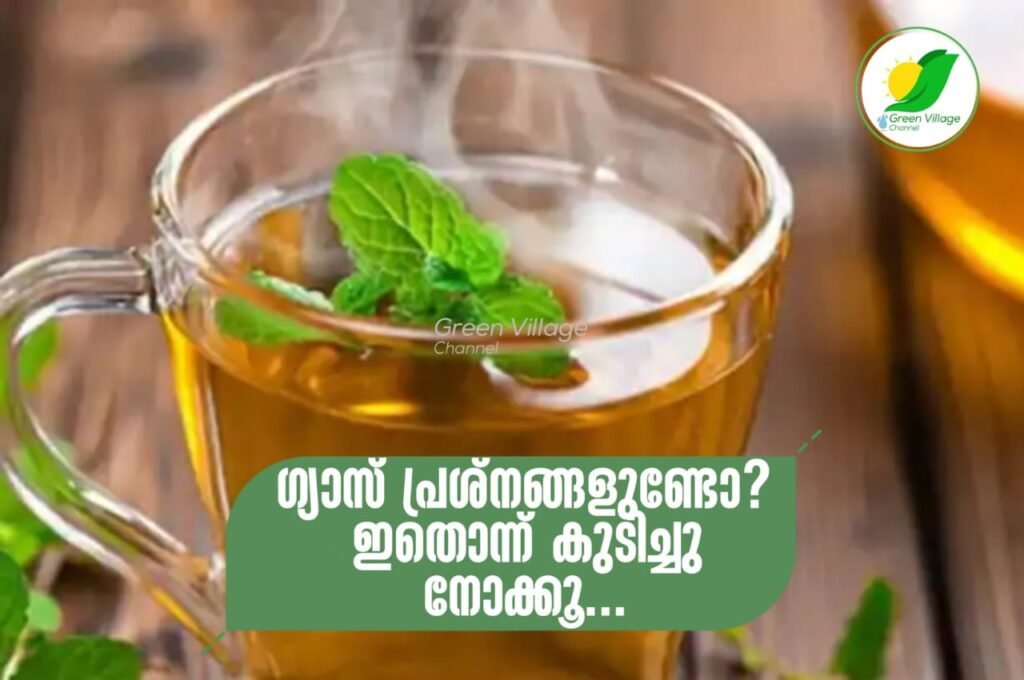 ഗ്യാസിന്റെ പ്രശ്നങ്ങളുണ്ടോ? ഇതൊന്ന് കുടിച്ചു നോക്കൂ... | Perfect solution for gas trouble IMG 20230608 WA0006 1024x680