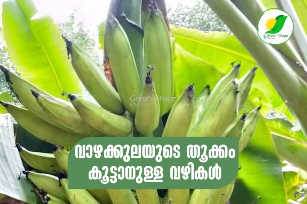 IMG 20230608 WA0075 1024x680
