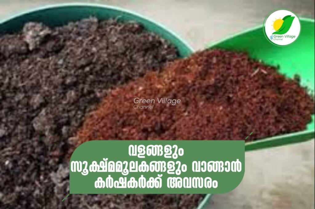 IMG 20230609 WA0006 1024x680