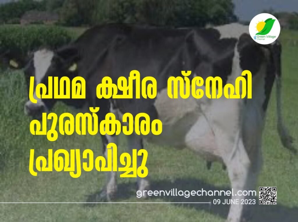 പ്രഥമ ക്ഷീരസ്നേഹി പുരസ്കാരം പ്രഖ്യാപിച്ചു. പുരസ്കാര ദാനം നാളെ ശനിയാഴ്ച | Dairy lover Award IMG 20230609 WA0148 1024x764