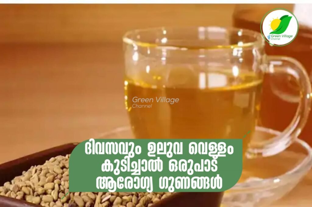 IMG 20230609 WA0317 1024x680