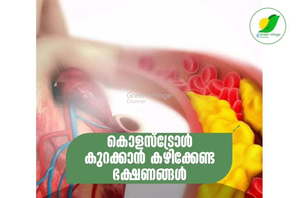 IMG 20230610 WA0085 1024x680