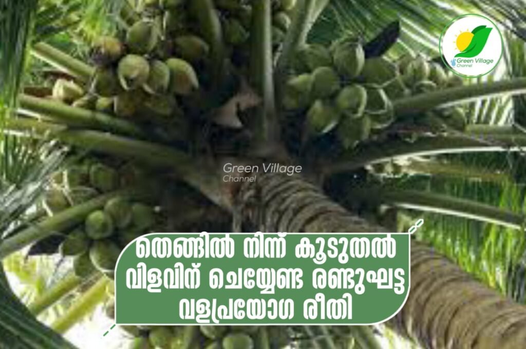 IMG 20230610 WA0183 1024x680