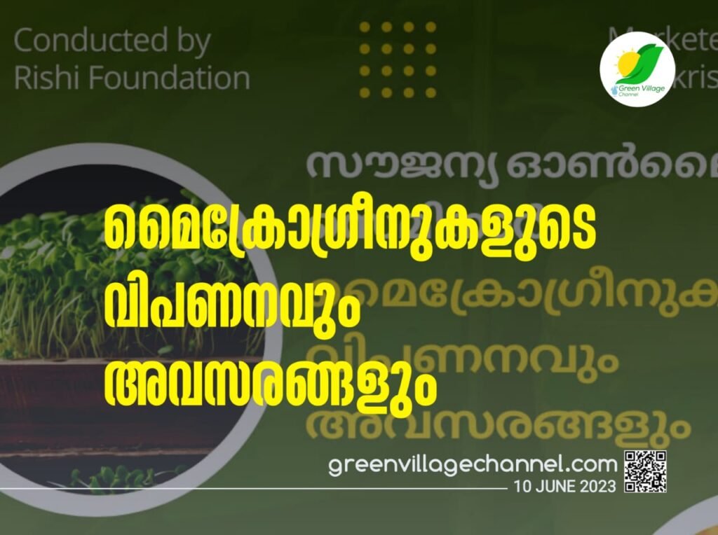 IMG 20230610 WA0223 1024x764