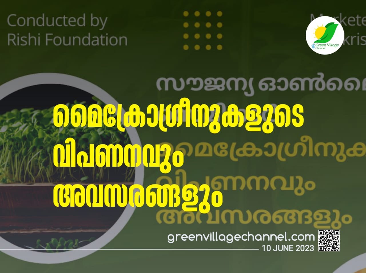 IMG 20230610 WA0223