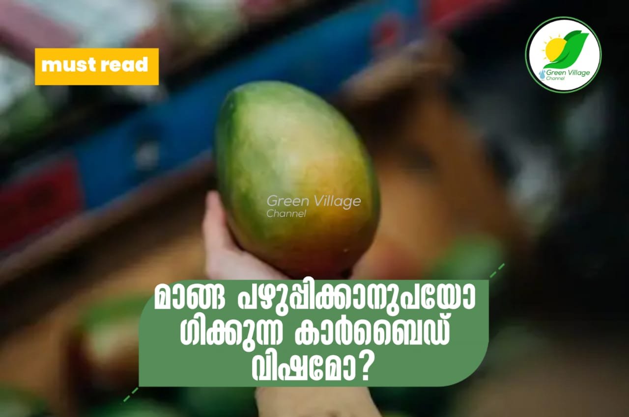 IMG 20230611 WA0167