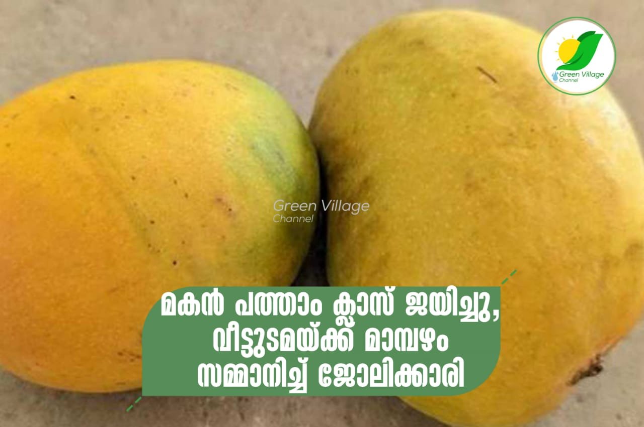 IMG 20230611 WA0174