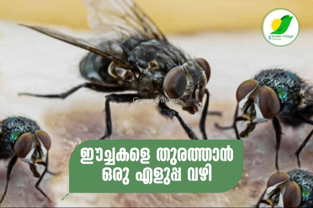IMG 20230612 WA0089 1024x680