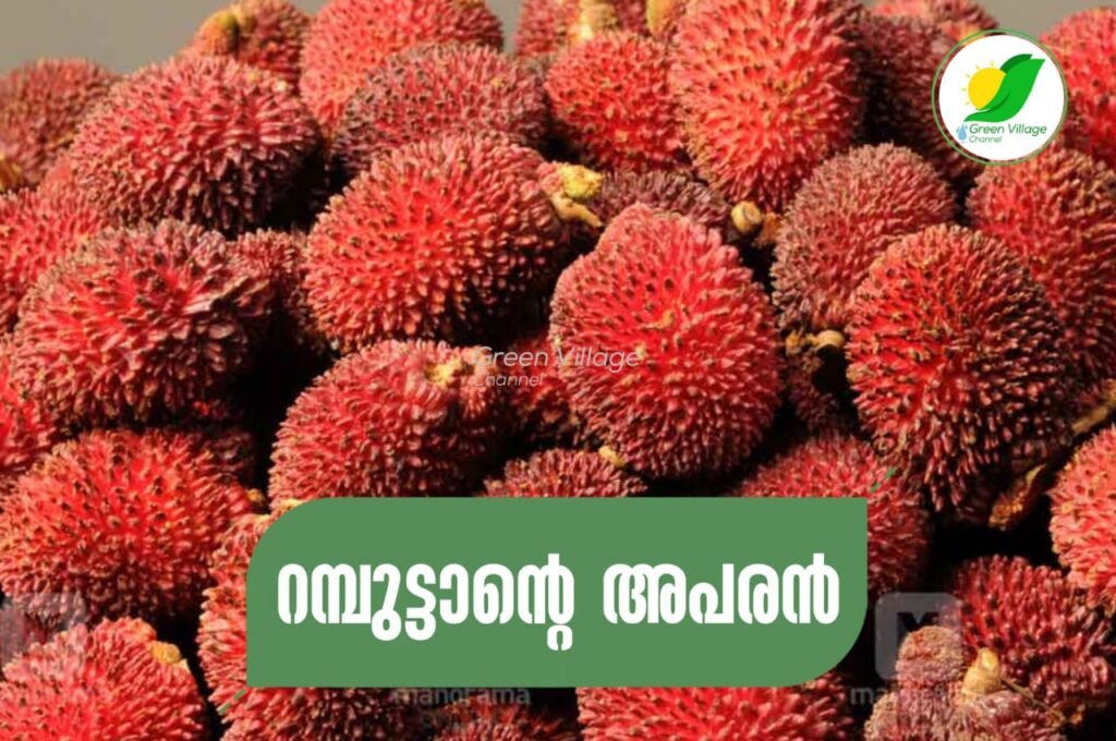 IMG 20230613 WA0066 1024x680