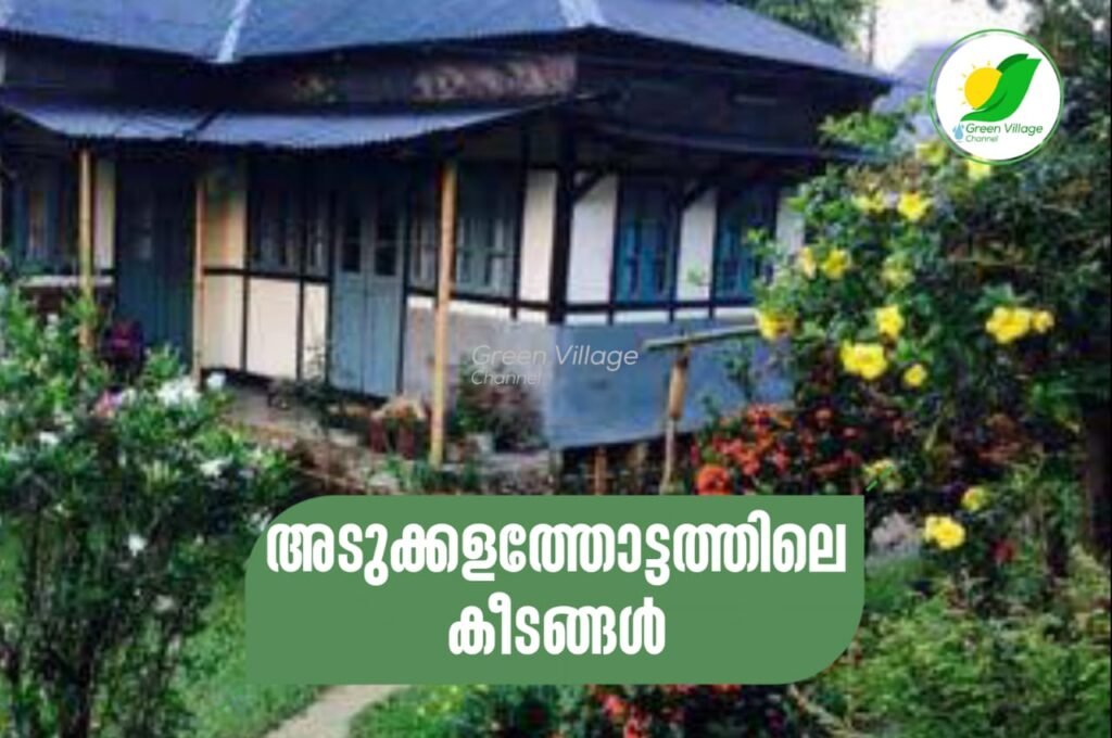 IMG 20230613 WA0068 1024x680