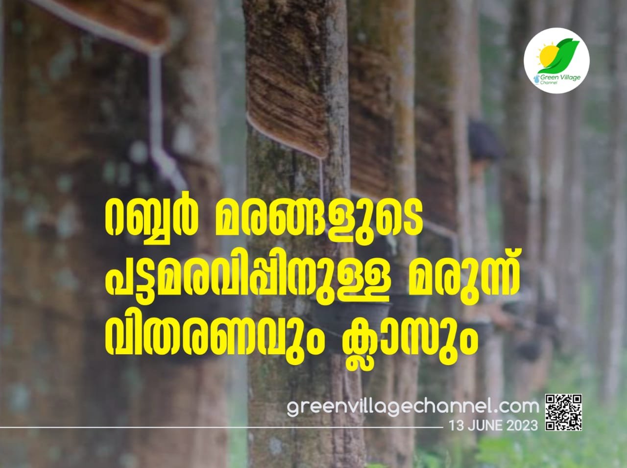 IMG 20230613 WA0082
