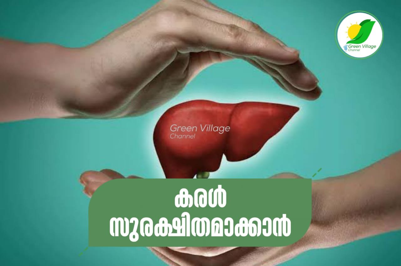 IMG 20230614 WA0008