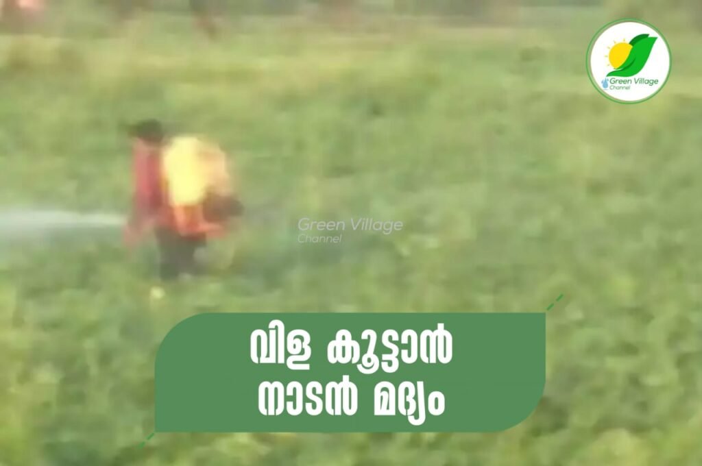 IMG 20230614 WA0027 1024x680
