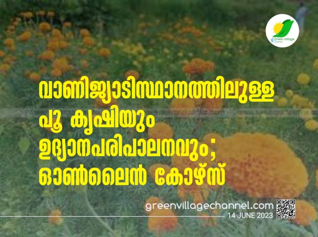IMG 20230614 WA0042 1024x764