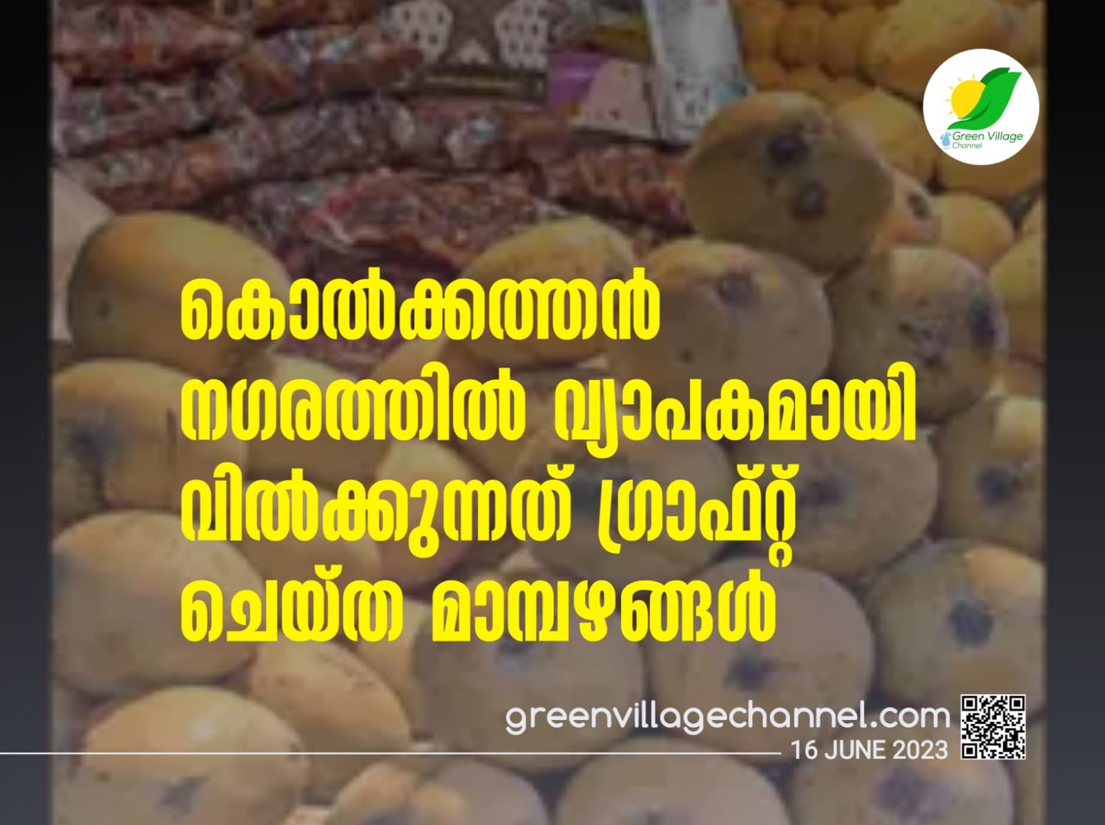 IMG 20230616 WA0031