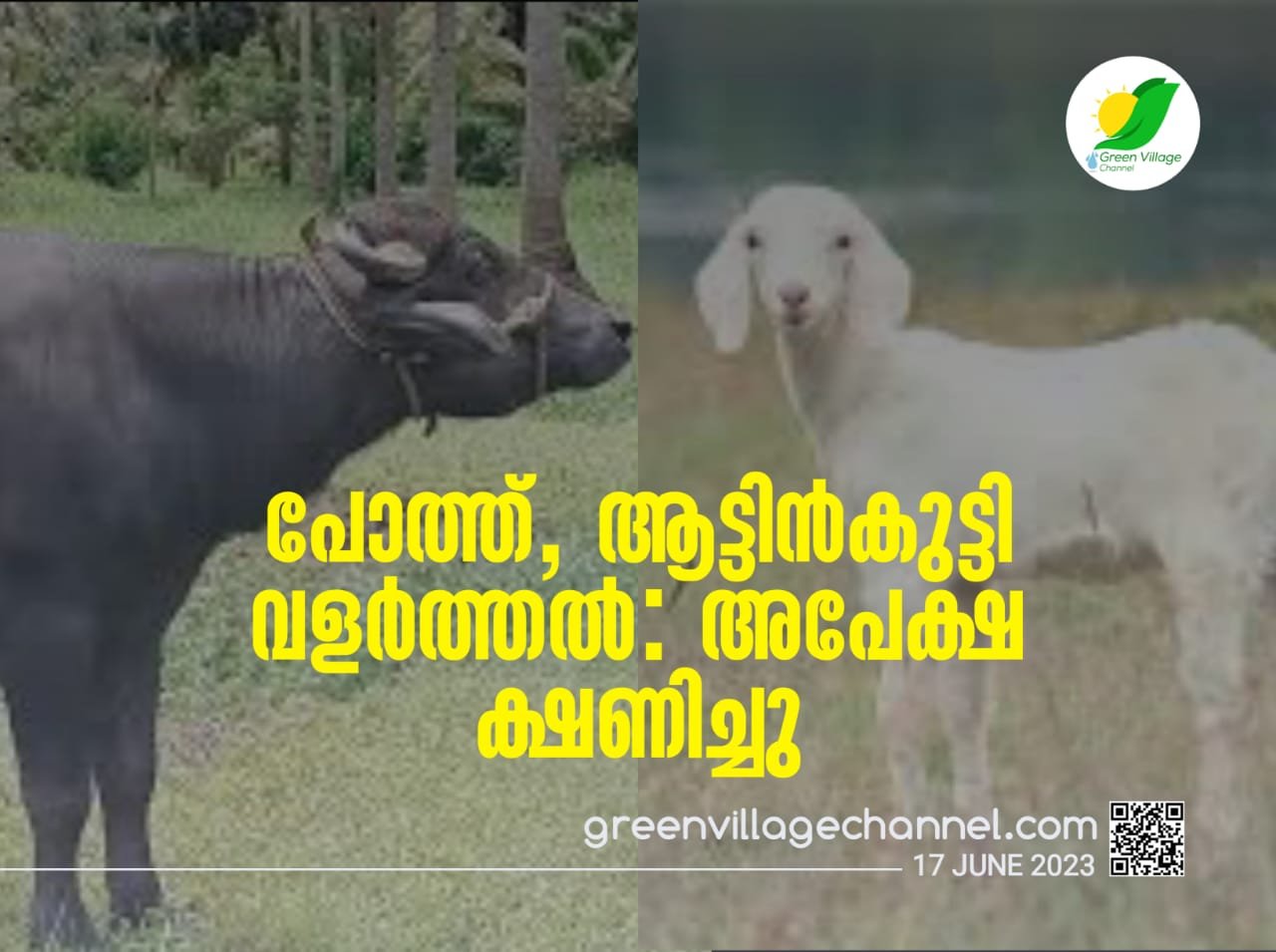 IMG 20230617 WA0038
